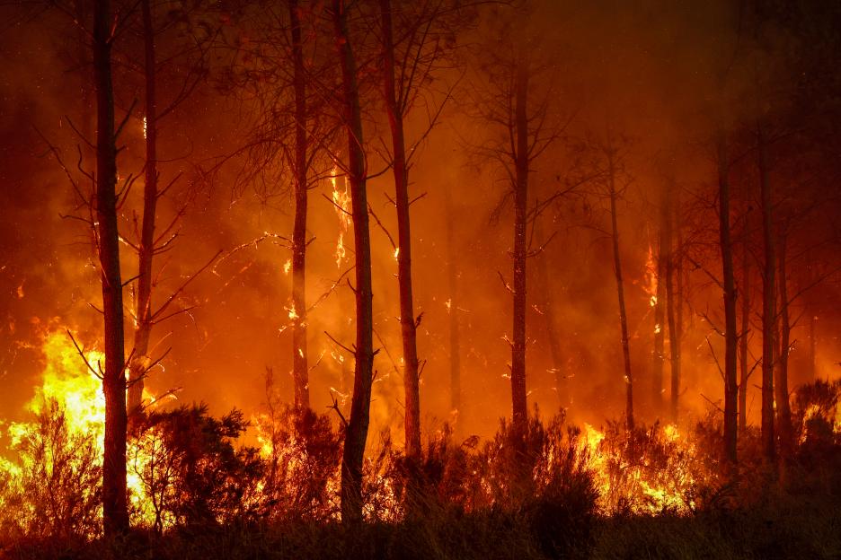 'Urgent: 'Fire Cloud' Threatens Bordeaux as City Faces Critical 24 Hours in Ongoing Wildfire Battle'