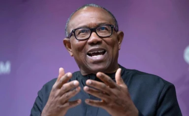 "‘Confusionist’ – Ayekooto, Wike’s Aide Responds to Peter Obi’s ‘Endorsement’ of Makinde"