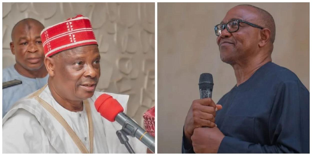 'Ex-Buhari Aide: Kwankwaso Shows Greater Openness Than Peter Obi'