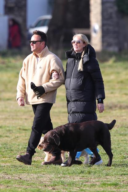 EXCLUSIVE: Ant McPartlin With His Dogs In The Park After It Is Reported He is Embroiled In A Custody Battle With His Ex Wife Over Labrador Hurley
