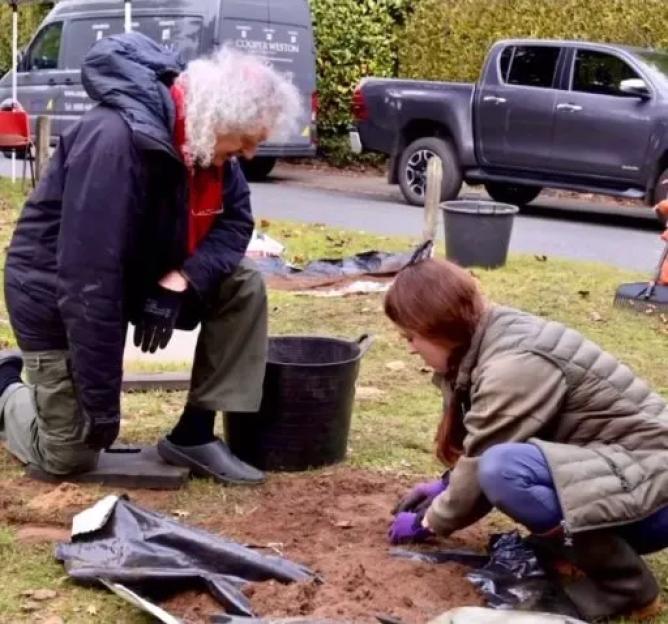 Bloomin¿ cheek! Queen legend Brian May frustrated as ¿killjoy¿ councillors block plan to plant thousands of daffodils