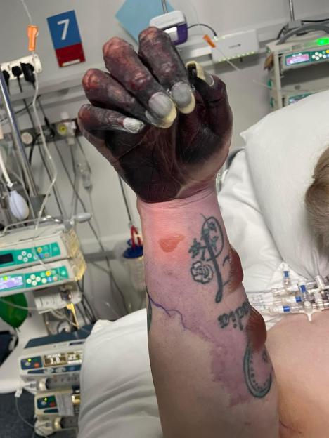 NINTCHDBPICT001050361345