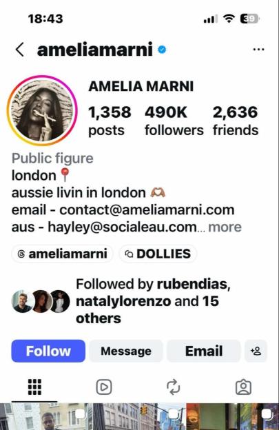 Instagram profile for Amelia Marni, a public figure with 490K followers.