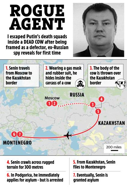 Illustration detailing the escape route of a "rogue agent" from Russia to Montenegro, including hiding in a cow carcass.