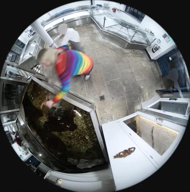Woman in rainbow top removing a crayfish from a restaurant tank.