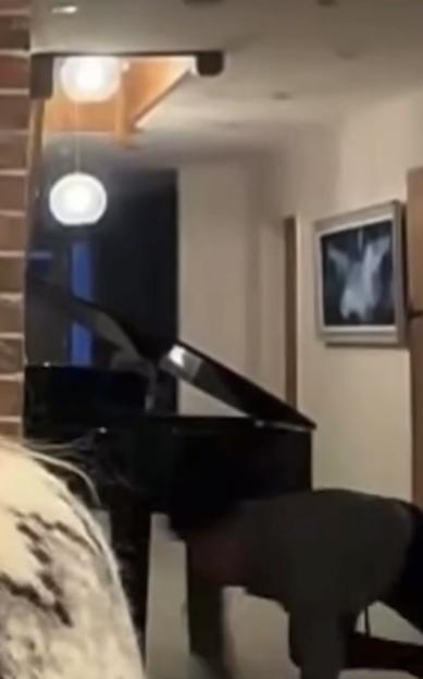 A husband crawls on the floor behind a piano during a video call.