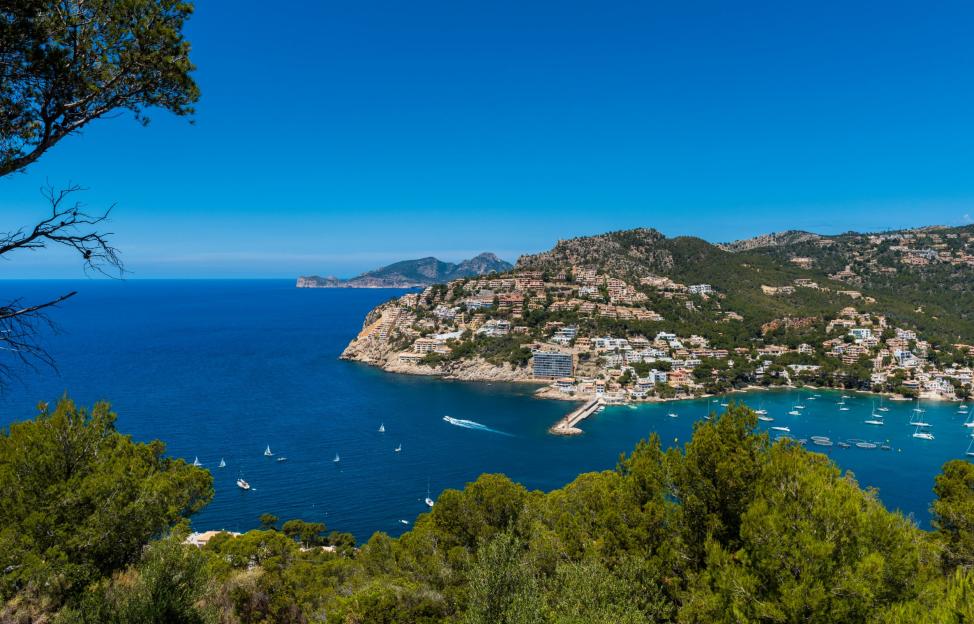 Port d'Andratx Mallorca with buildings on hills, boats in the water, and green trees in the foreground.