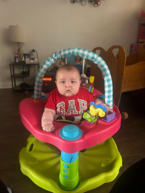 An eight-month-old baby in a red "GAP" shirt, sitting in a pink and green baby bouncer, looking at the camera.