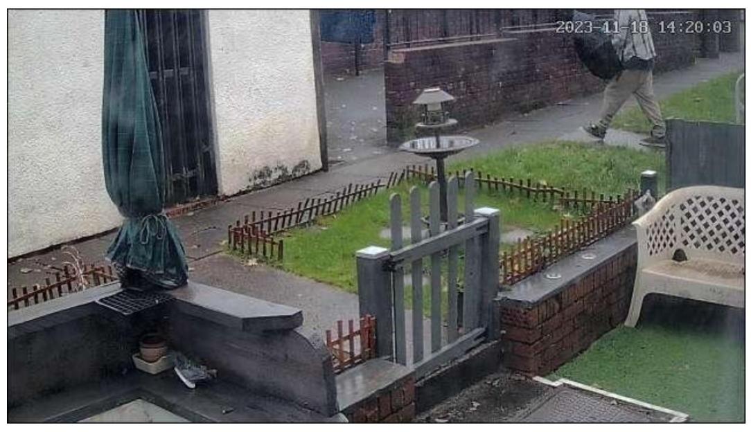 CCTV footage shows Ricky Harris walking along a sidewalk next to a small garden.