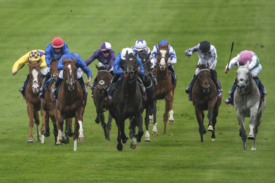 2026 2000 Guineas Results: Discover the Winner and Full Finishing Order from Newmarket's 3:35 Race!