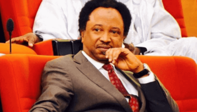 'Violence Reigns in Plateau: 'Everything Thrives Here Except Peace,' Says Shehu Sani'