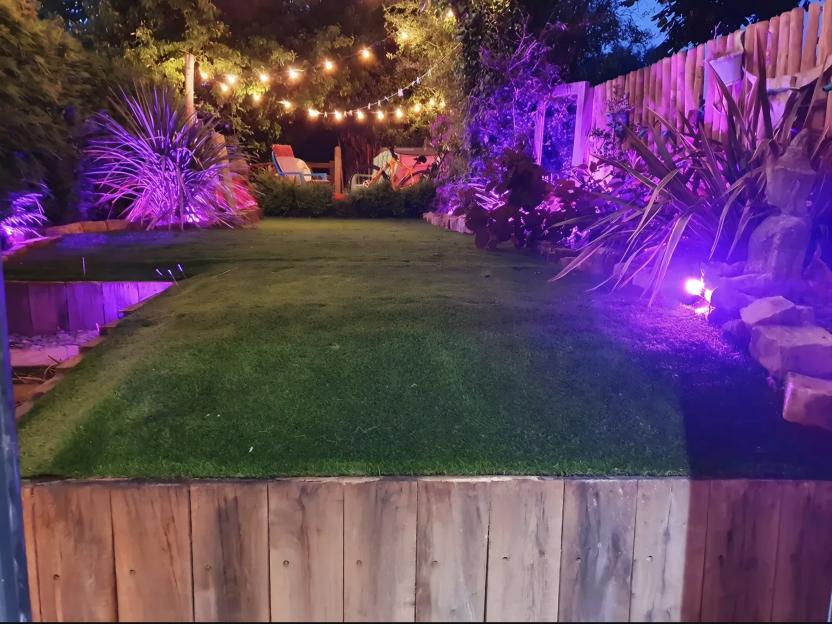 A backyard at night with strings of warm white lights overhead and purple uplighting on shrubs.