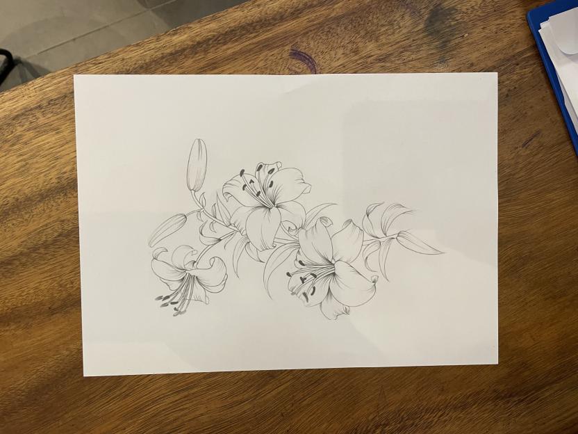 Illustration of a lily tattoo design.