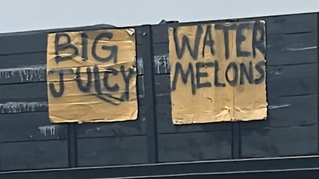 Two pieces of cardboard with "BIG JUICY" and "WATER MELONS" spray-painted on them, attached to a dark grey fence.