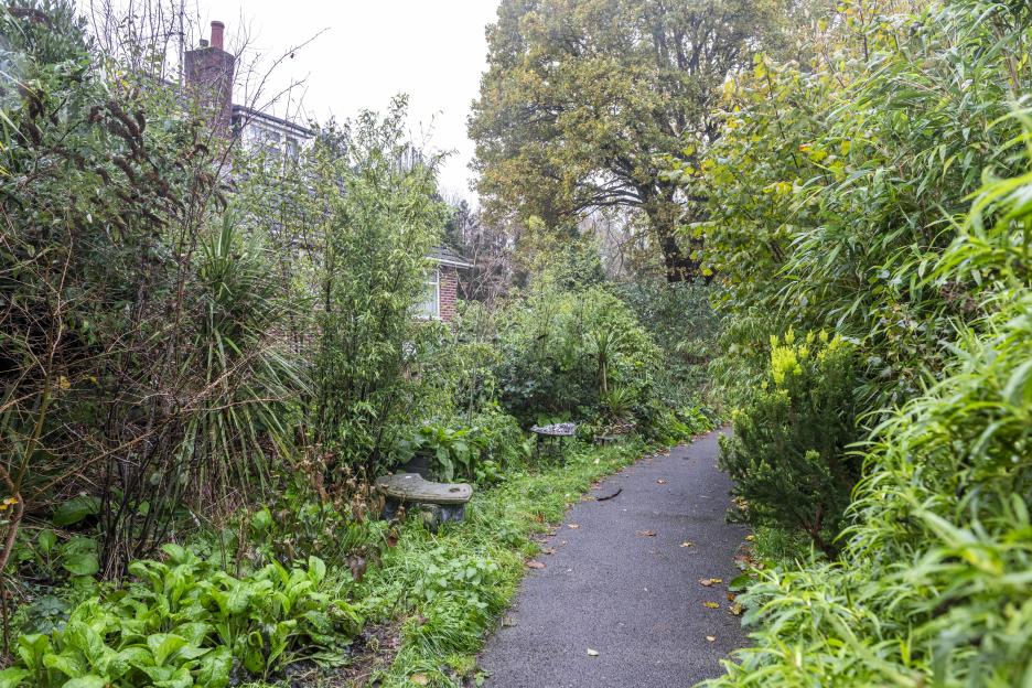 A narrow, paved footpath winds through an overgrown garden with lush green plants and trees.