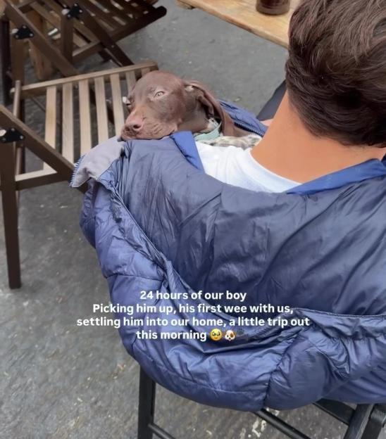 A person holding a brown dog on their lap at an outdoor cafe.