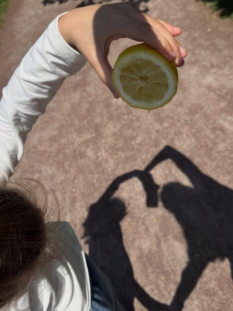 A person's hand holding half a lemon over a heart-shaped shadow on the ground.