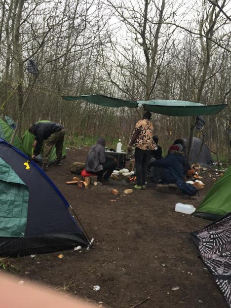 NINTCHDBPICT001069277606