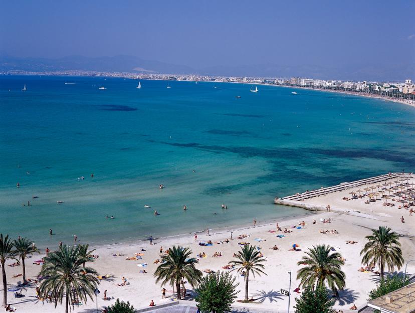 Beachlife, Palmtrees, Platja de S' Arenal, Bahia de Palma Majorca, Spain