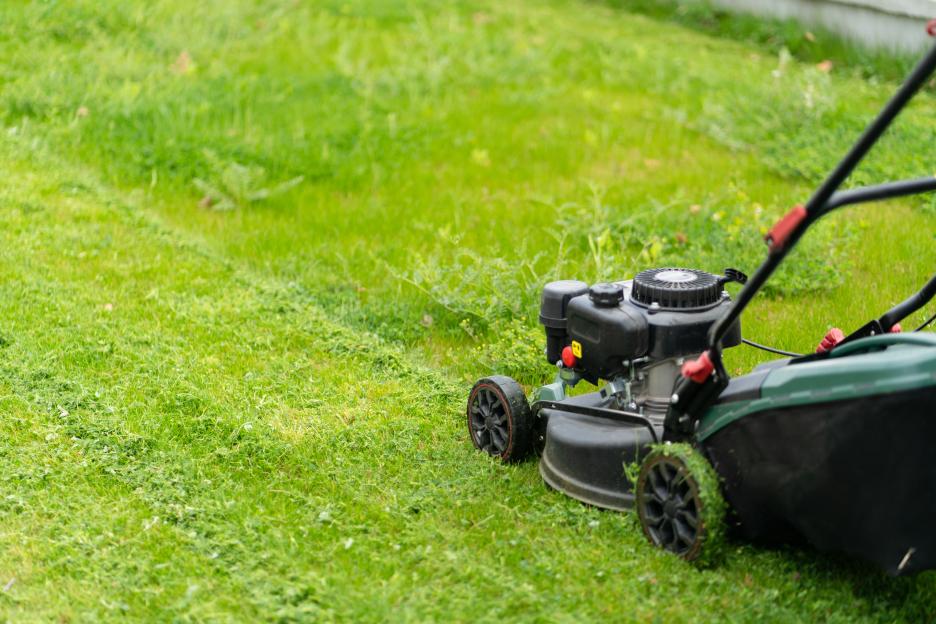 Transform Your Patchy Lawn with an 89p Aldi Bakery Secret—No Returfing Needed!