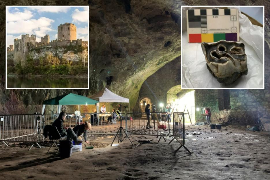 Discovery of 120,000-Year-Old Prehistoric Hippo Bones Under Castle Could Rewrite UK History!