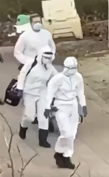 NINTCHDBPICT001067246383