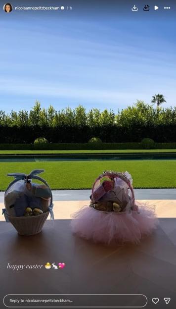 NINTCHDBPICT001071730309