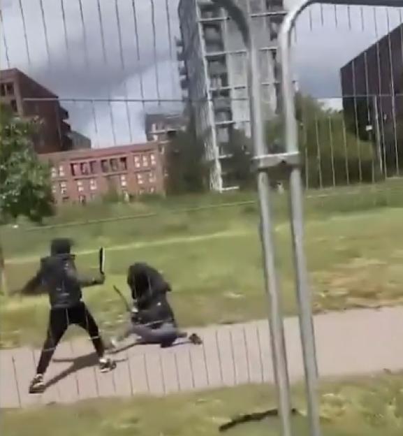 'Shocking Park Attack: Moment Thug with Massive Blade is Tackled and Stabbed in Daylight'