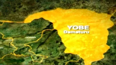 Yobe Tertiary Institutions' Unions Demand Action with New 15-Day Ultimatum Over Unpaid Allowances and Welfare Benefits