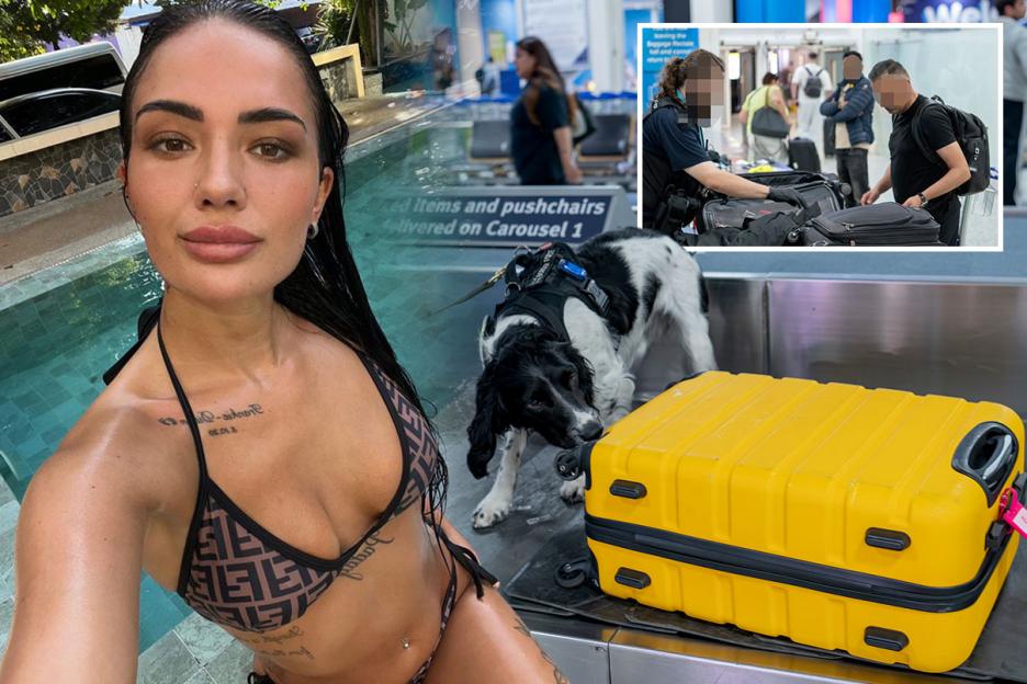 Inside the Border Force's Drug Mule Bust: Gangs Swap Glamorous Women for Young Men on Their First Party Getaway