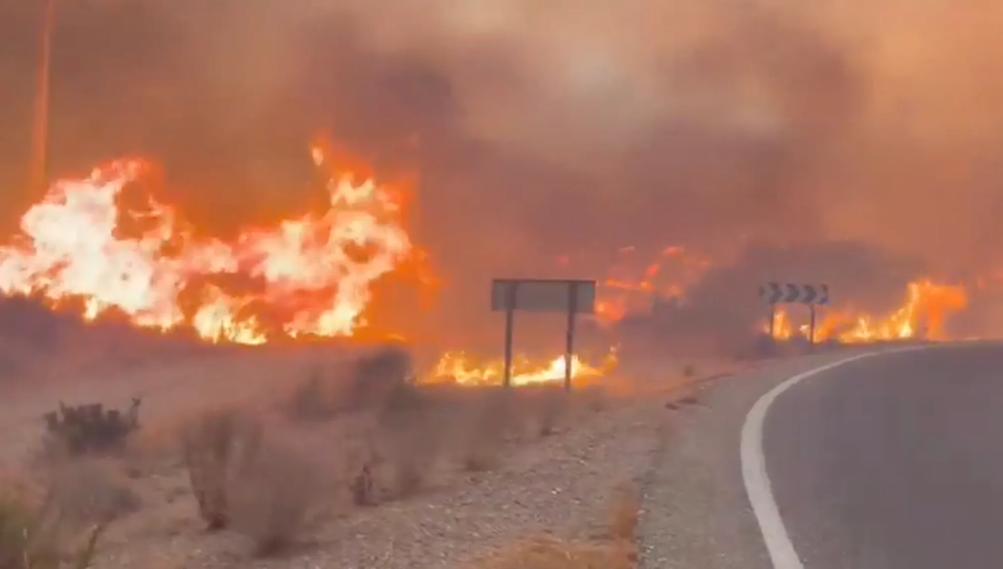 A large wildfire with huge flames and smoke engulfs the landscape next to a road, with road signs visible.