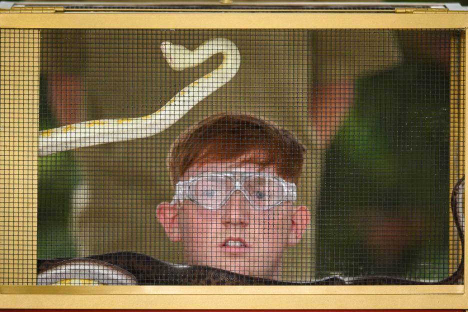 Angry Ginge looking startled while a white snake with yellow markings coils around him during a challenge on "I'm a Celebrity... Get Me Out of Here!"