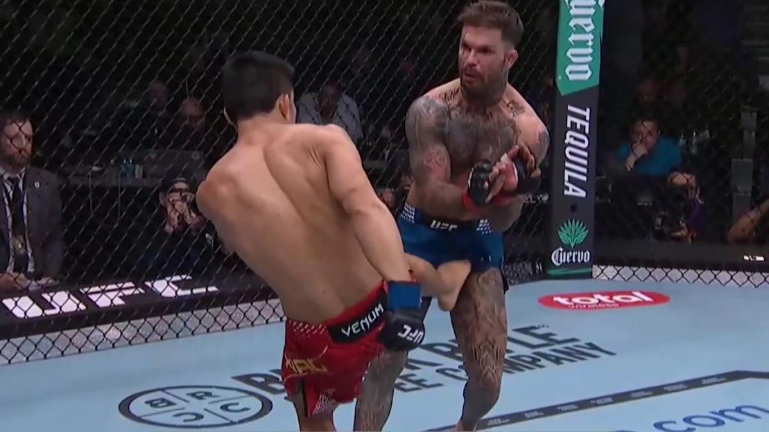 UFC Star Pukes Inside Octagon After Brutal Low Blows but Secures a Stunning Victory