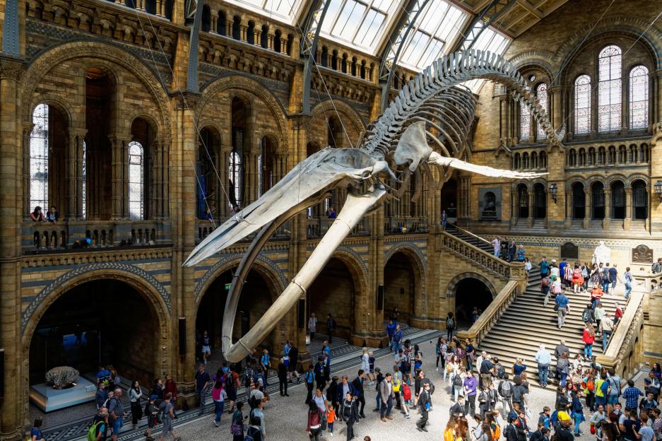 UK's Beloved Attractions May Introduce Entry Fees for the First Time in 25 Years!