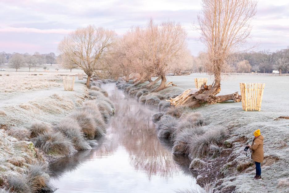 A walker in a yellow hat holding a camera in a frozen park with a stream.
