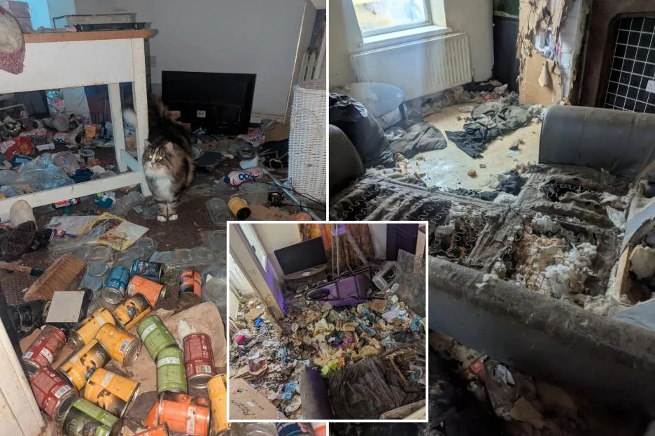 Inside house of horrors where dogs and cats found living among faeces, urine and piles of rubbish as cruel owner banned