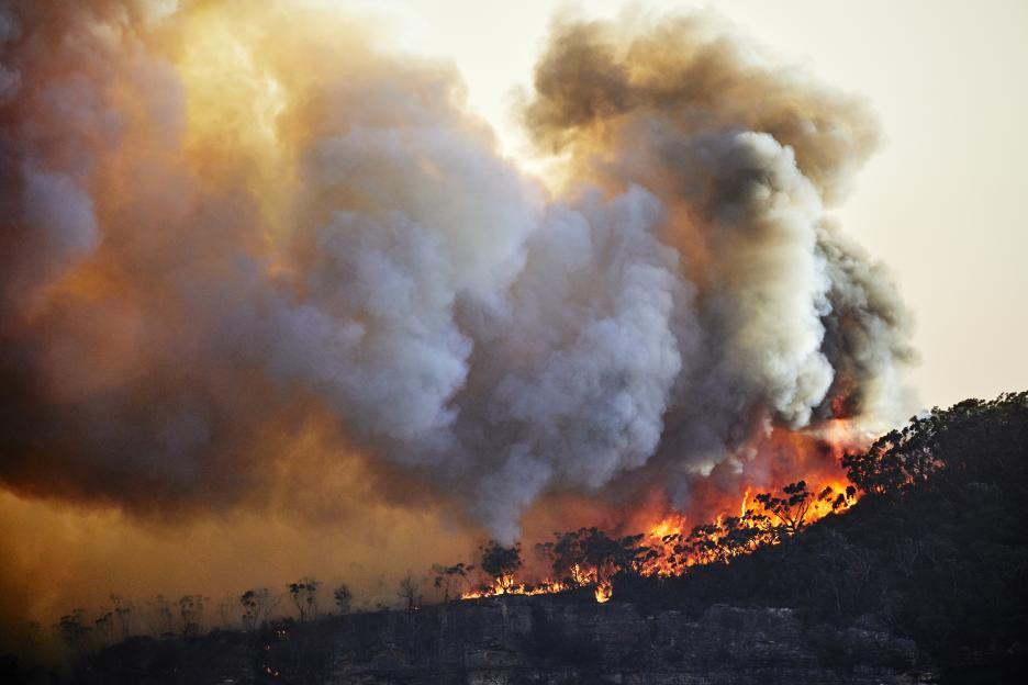 Out of control bushfire on Narrow Neck Plateau, Blue Mountains, Australia, with a large plume of smoke and flames engulfing trees.