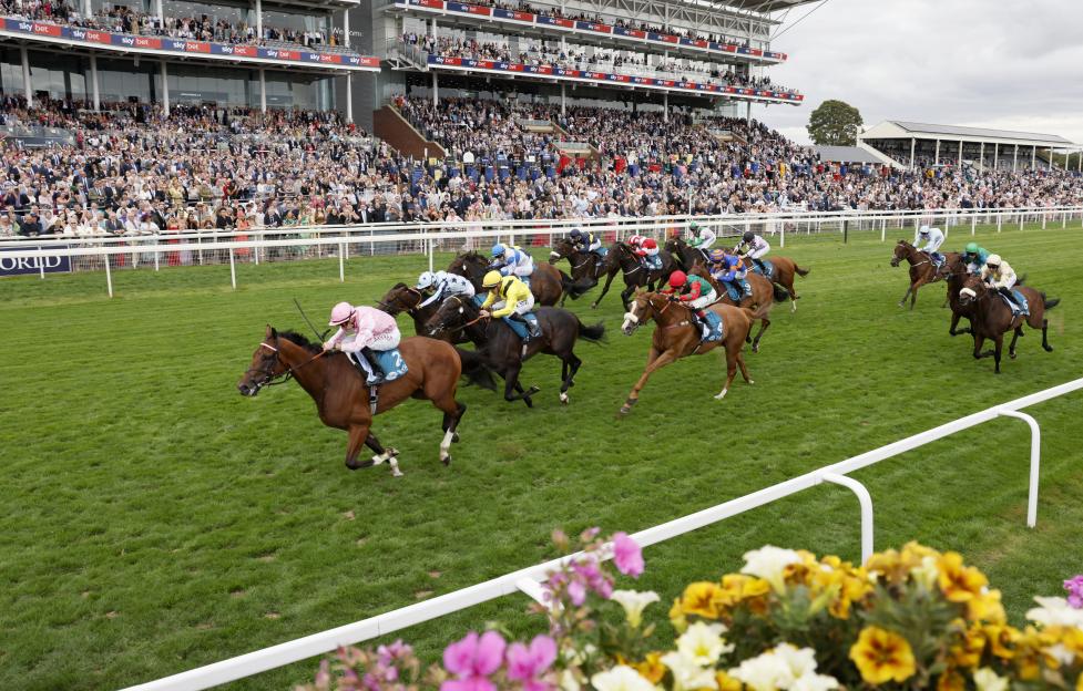 Bullet Point, ridden by Tom Marquand, wins the Clipper Handicap at Sky Bet Ebor Festival 2025 at York Racecourse.