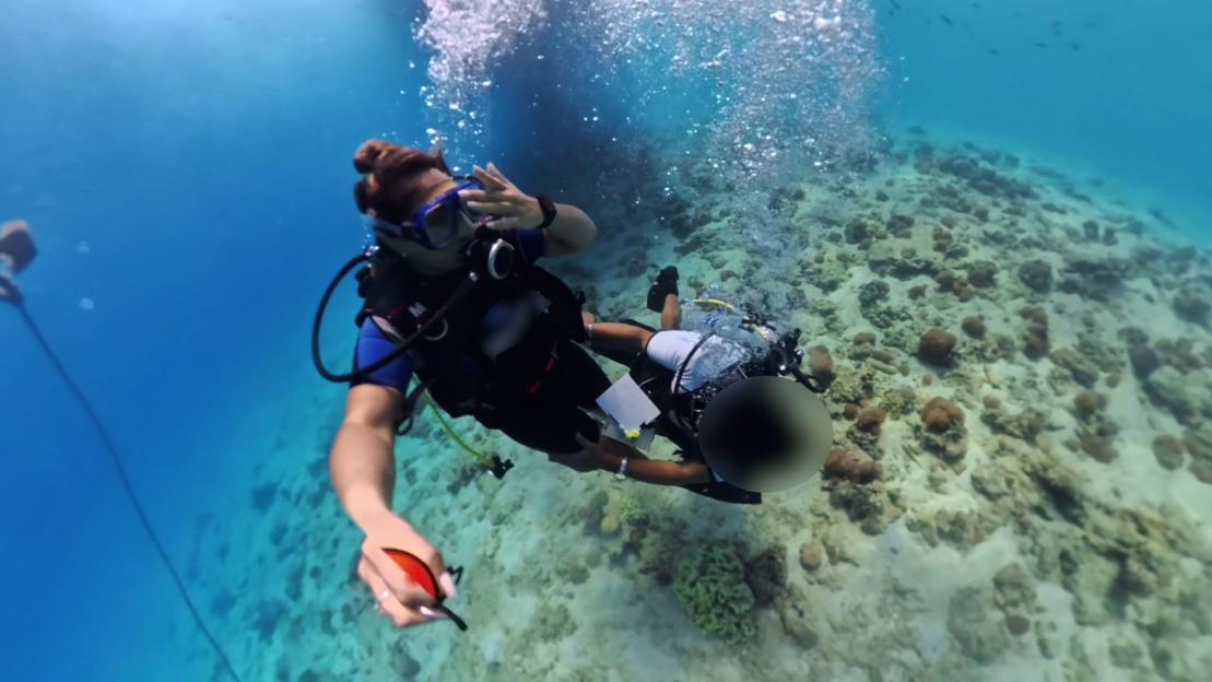 Disturbing Incident: Scuba Diving Instructor Allegedly Gropes Swimmer on Egyptian Holiday Before Making Inappropriate Proposal