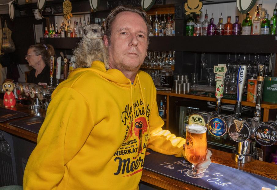Surrey Pub Introduces a ‘Pint-Sized’ Twist: Enjoy Your Drink Surrounded by Seven Adorable Meerkats!