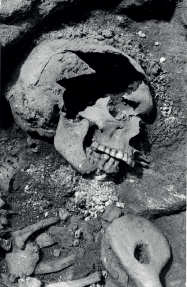 A skull and bones unearthed from archaeological remains.