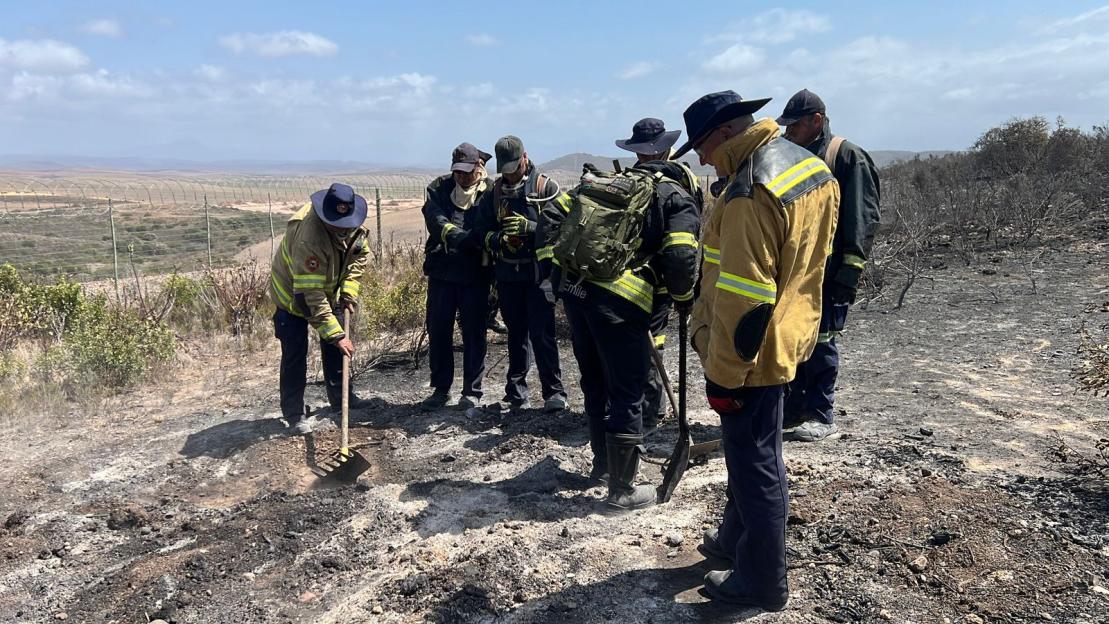 Firefighting efforts against forest fire continues in Western Cape