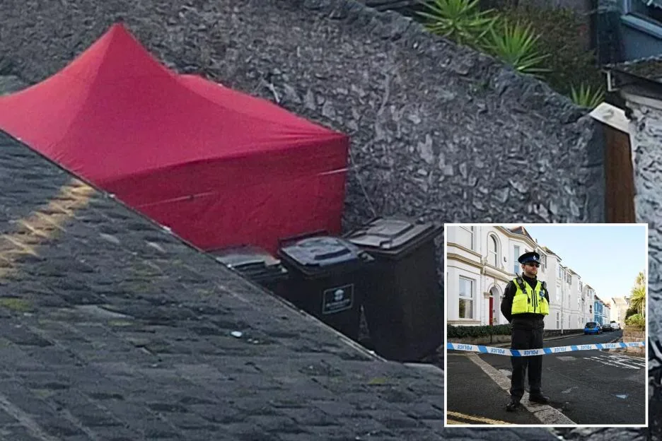 Murder suspect ‘knew’ victim found ‘partially in wheelie bin’ in service lane near UK beauty spot – as man in 30s held