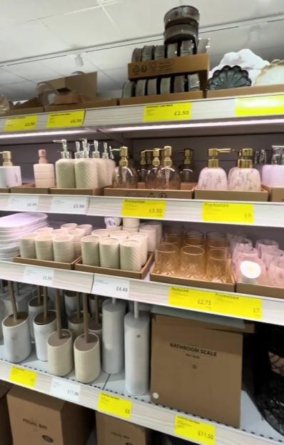 NINTCHDBPICT001067689392