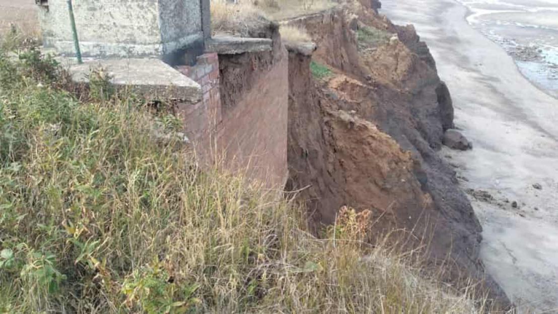 NINTCHDBPICT001051336628