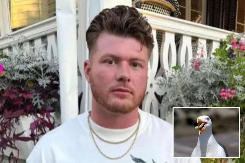 Outrageous Dad, 30, Decapitates Seagull in Front of Shocked Kids After Bird Attempts to Steal Food from His Daughter