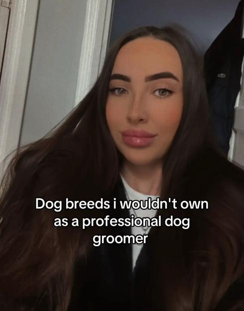 'Meet the Dog Breed Groomers Dread: Plus 6 More They'd Avoid Due to Health and Temperament Concerns!'