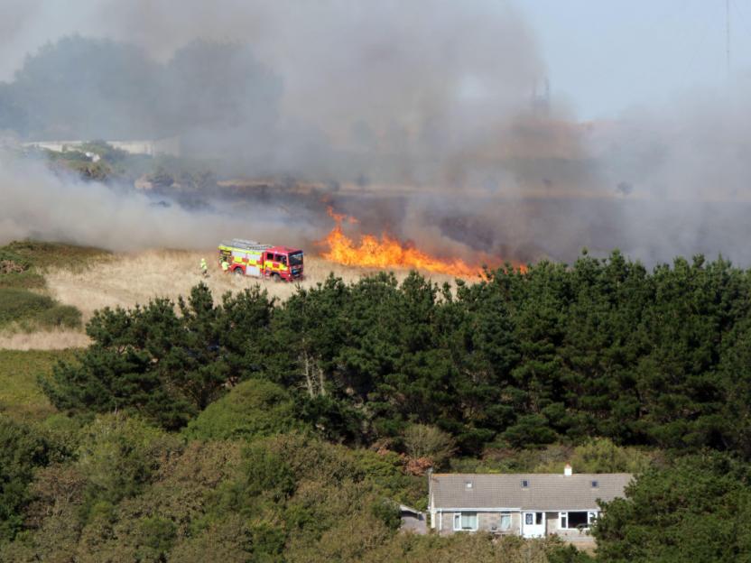 Firefighters with a fire truck battling a wildfire in a dry grassy field with green trees in the foreground.