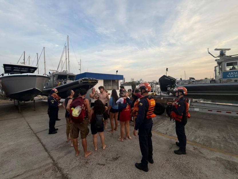 NINTCHDBPICT001049712576