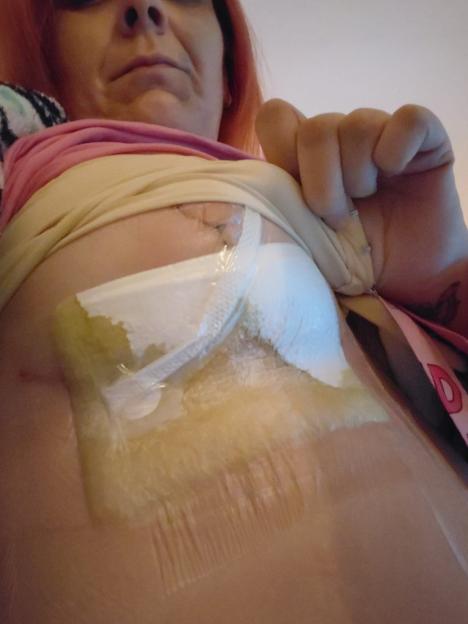 NINTCHDBPICT001075195335